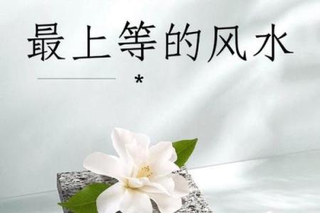 1992年出生的水命人：洒脱人生与命运之水的交汇