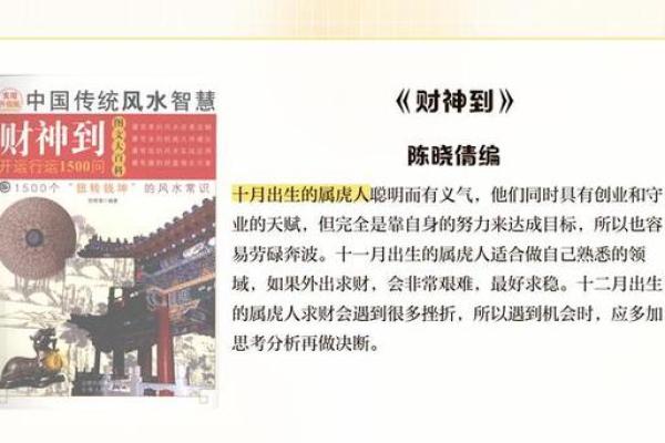 虎年出生的人命运与性格解析