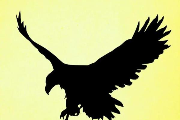 探讨甲木偏旺之命格：解析与人生的奇妙联系