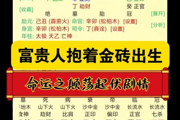 官贵命与富贵命的区别：解读人生的不同轨迹与选择