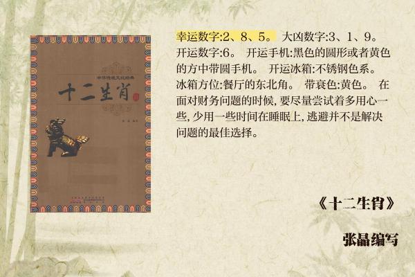 2007年火猪命：从生肖运势看人生的精彩旅程