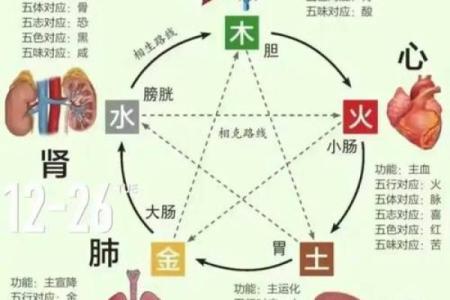 木命缺火，土命相辅相成的和谐之道