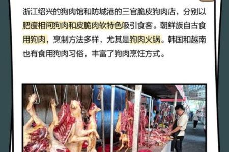 探讨狗肉的消费文化：传统与现代的碰撞