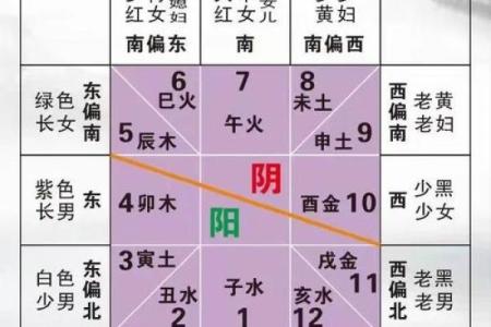 1979年出生的宝宝命理分析：从五行看命运与性格的发展