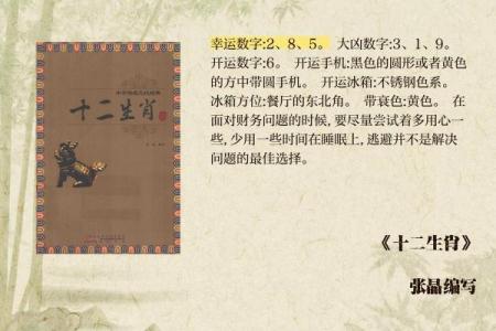 2007年火猪命：从生肖运势看人生的精彩旅程