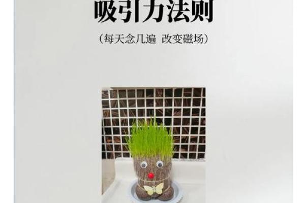 为什么命好的人都好：探秘好运背后的秘密与法则