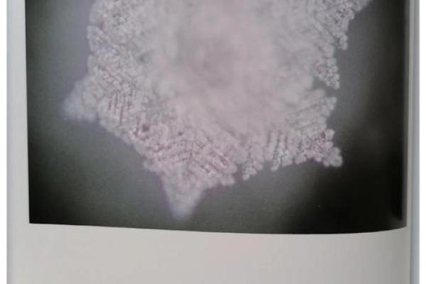 1963年命理与水的相遇：探寻命运与元素的奇妙关系