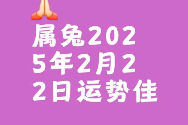 2025年兔年：探索兔年的个性与命运之旅