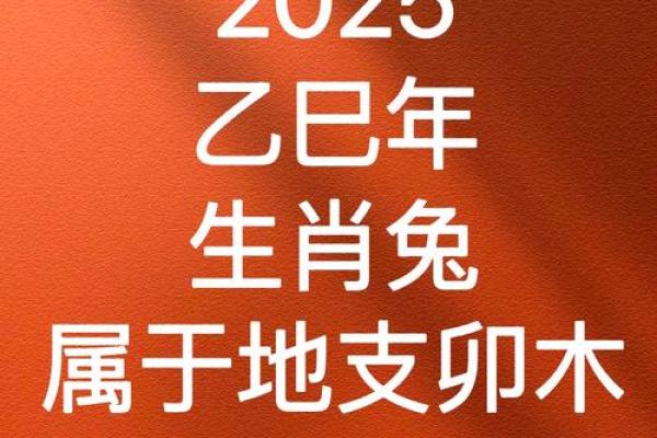 2025年兔年：探索兔年的个性与命运之旅