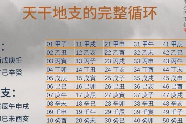 戊子年出生的命运解析：探秘天干地支的奥秘与人生之路