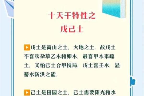 戊子年出生的命运解析：探秘天干地支的奥秘与人生之路