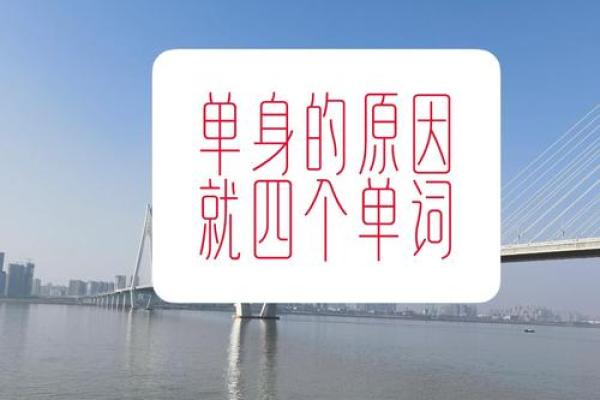 活该单身的命：揭示独身背后的真相与解读