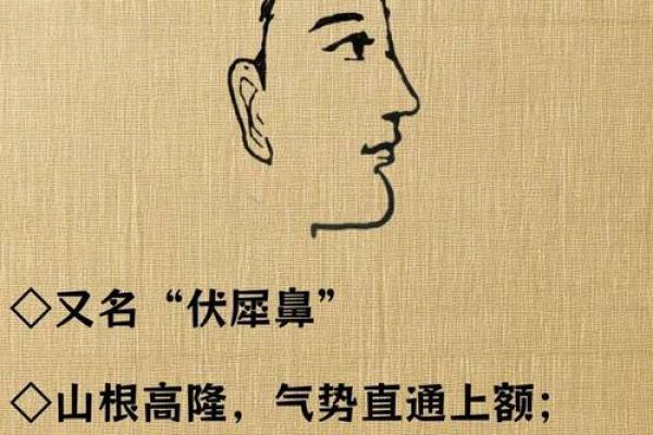 面相解码：鼻子疙瘩的命运启示与人生智识