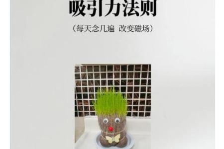 为什么命好的人都好：探秘好运背后的秘密与法则