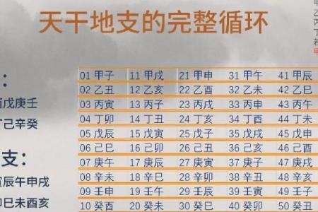 戊子年出生的命运解析：探秘天干地支的奥秘与人生之路