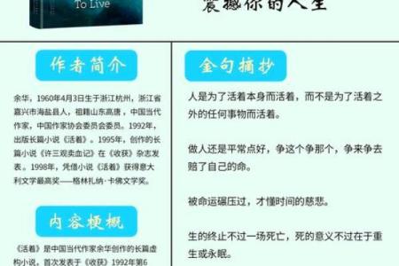 活该单身的命：揭示独身背后的真相与解读