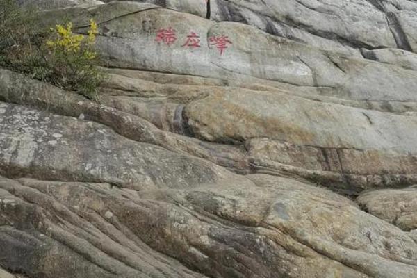 1977年木命的丰盈人生，从心出发的成长之路