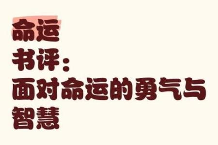 马年10月出生的人命运解析：智慧与机遇并存的未来