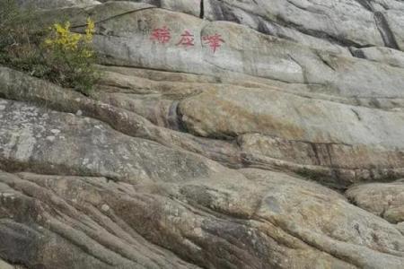 1977年木命的丰盈人生，从心出发的成长之路