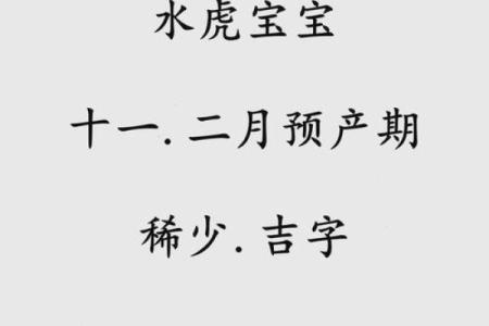 2022年12月出生的虎宝宝命理解析与育儿建议