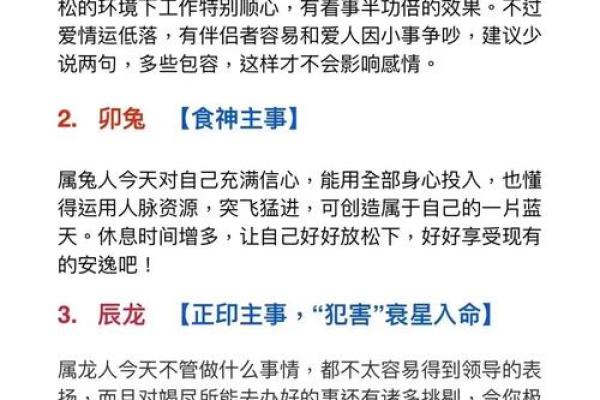 九命与九命有什么区别？深入探讨谜团背后的秘密！
