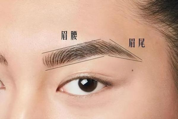 眉毛断了代表什么命？揭秘其背后的古老智慧与信仰