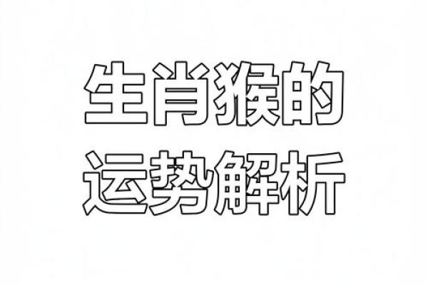2016年属猴的命运与性格解析，揭示你的精彩人生道路！