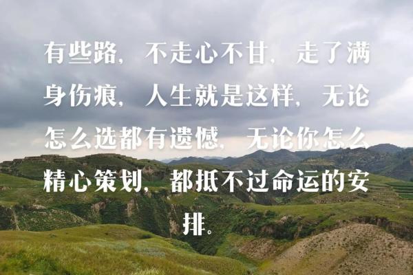 癸亥年出生的人：命运的神秘揭秘与人生启示