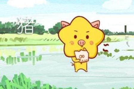 明年属猪木命者的运势分析与缺失补救措施