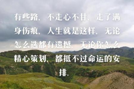 癸亥年出生的人：命运的神秘揭秘与人生启示