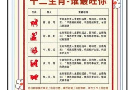 探索“宝贵命”的生肖寓意：智慧与幸福的象征