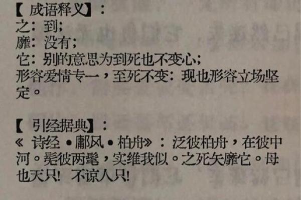 探讨“什么死什么命”成语的深刻含义与生活启示