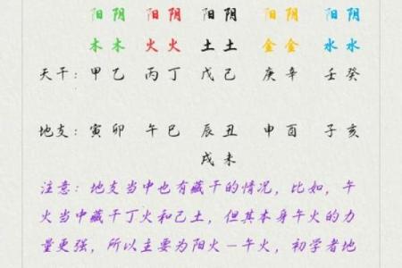 命理之道：探究一命二运的深刻内涵与启示