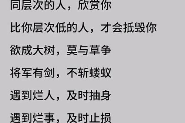 命运的棋局：信命与不信命的思维之道