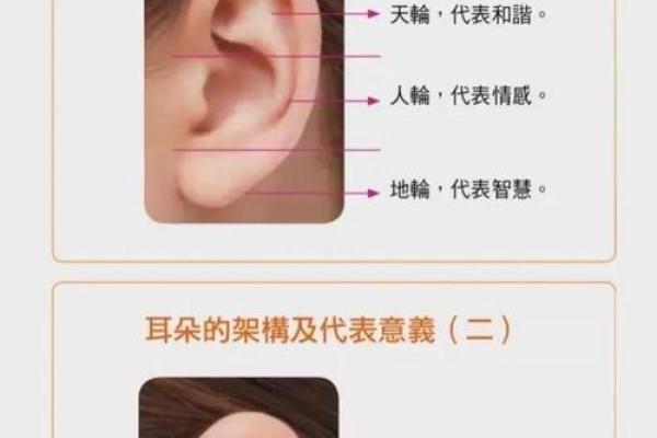 命理中的医官象征：探索带医官之人的命运与成就