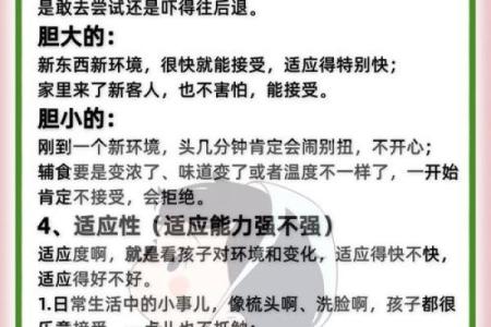老生儿子是什么命：探索命运与个性的深层联系