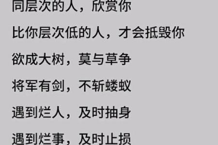 命运的棋局：信命与不信命的思维之道