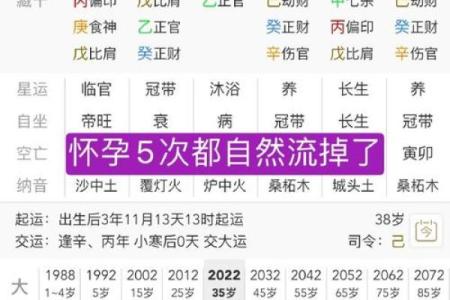 1997年出生的女孩命运解析：从八字看她们的独特人生轨迹