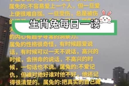 2023年23岁生肖解析：兔年生辰与命运之道