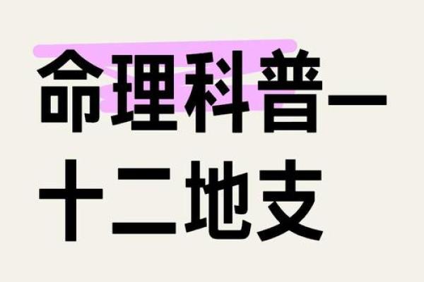 探秘命理：关于“命重4.9”的深层含义与启示