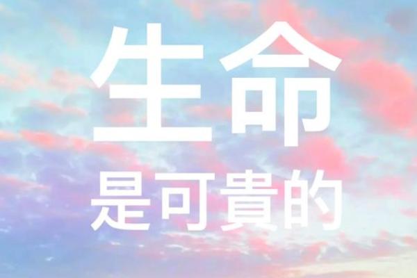 2023年2月26日的命运解析：探索你生命的独特能量与机遇