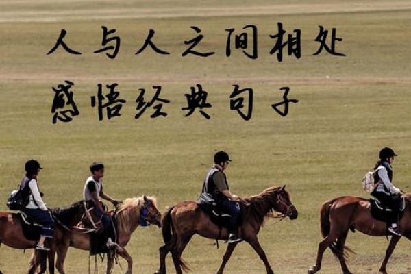 命里有三妻命：解读人生中的情感寓意与选择