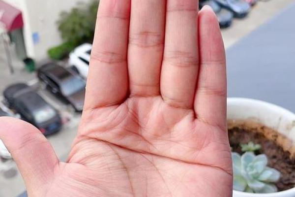 探索断掌男的命运：手纹与命理的神秘关联