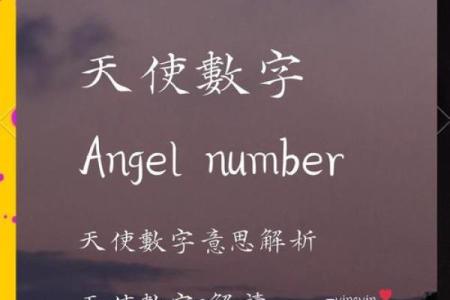 2023年2月26日的命运解析：探索你生命的独特能量与机遇