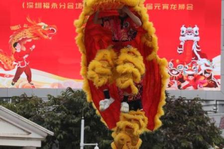 2028年属龙人的命运与奋斗：龙腾千里，展现人生精彩篇章