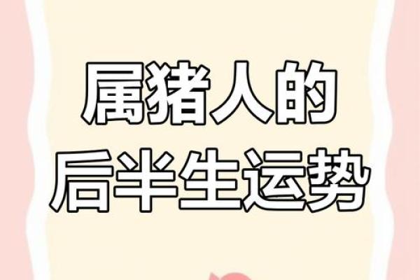 2007年出生的猪：命理特征与人生运势分析