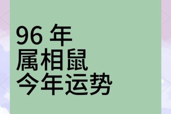 2023年鼠年命运解析：探索鼠年的神秘与智慧