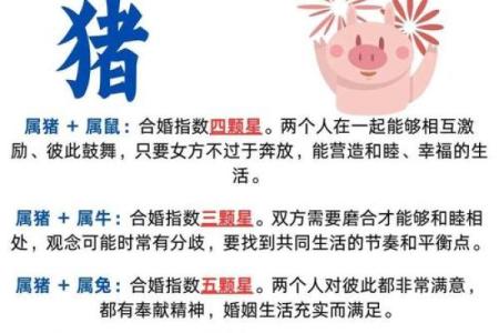 猪年腊月十六的命运解析：揭秘属猪之人的命运之路