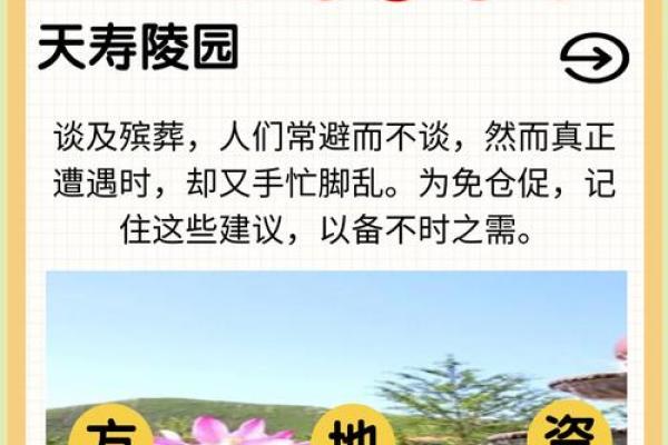 金龙命如何选择墓地方位，助您安享后世之福