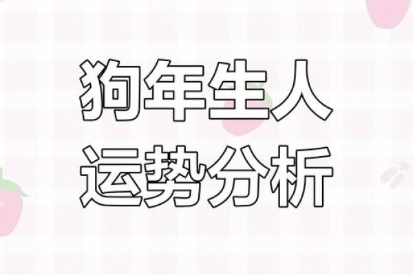 1982年是什么狗年，属狗的性格与命运解析